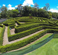 Bellingham Maze - Foster Accommodation