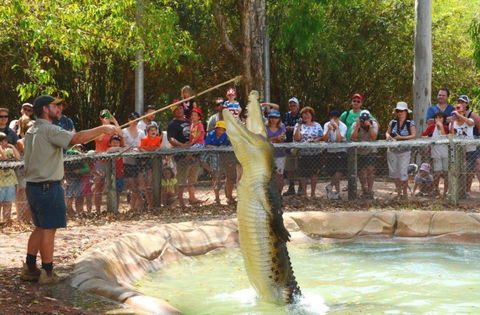 Billabong Sanctuary - Foster Accommodation 2
