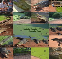 The Malcolm Douglas Crocodile Park - Foster Accommodation