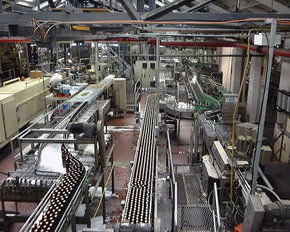 Cascade Brewery Tour - Foster Accommodation 2