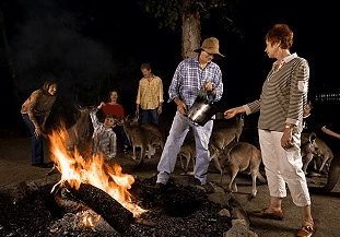 Cairns Night Zoo - Foster Accommodation