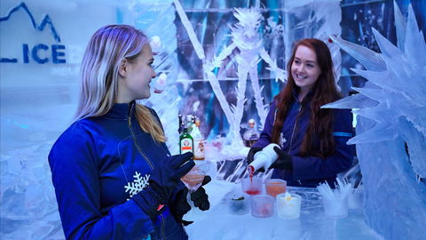 Icebar Melbourne - Foster Accommodation 1