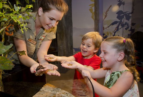 WILD LIFE Sydney Zoo - Foster Accommodation 1