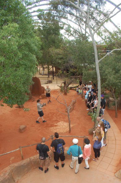 WILD LIFE Sydney Zoo - Foster Accommodation 2