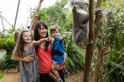 WILD LIFE Sydney Zoo - Foster Accommodation 3