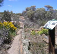 Christmas Rock Walk - Foster Accommodation