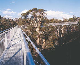  Foster Accommodation