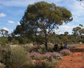 Karlkurla Bushland Park - Foster Accommodation 0