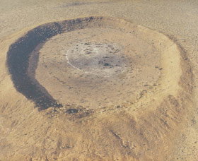 Purnululu WA Foster Accommodation