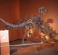 Denmark Dinosaur World - Foster Accommodation