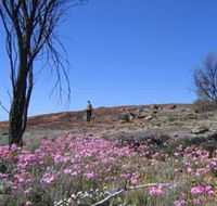 Talgomine Reserve - Foster Accommodation