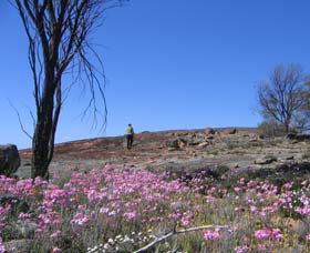 Talgomine Reserve - Foster Accommodation 0