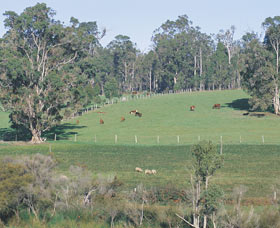 Scenic Drives - Bunbury Collie Donnybrook - Foster Accommodation 0