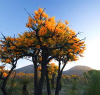 Cape Le Grand National Park - Foster Accommodation