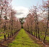 Raeburn Orchards - Foster Accommodation