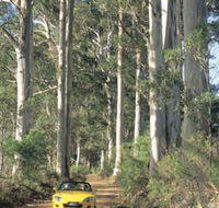 Mount Shadforth Scenic Drive - Foster Accommodation