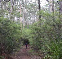 Margaret River Rails Trail - Foster Accommodation