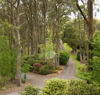 Mount Lofty Botanic Garden - Foster Accommodation
