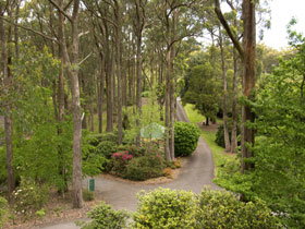 Mount Lofty Botanic Garden - Foster Accommodation 0