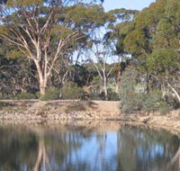 Merredin Railway Dam - Foster Accommodation