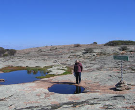 Dingo Rock - Foster Accommodation 0