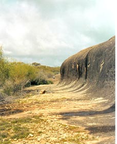 Totadgin Dam Reserve - Foster Accommodation 0