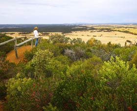 Archer Drive Scenic Drive And Lookout - Foster Accommodation 0