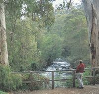 Cascades - Foster Accommodation