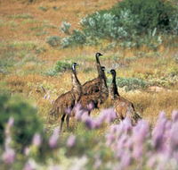 Jurabi Coastal Reserve - Foster Accommodation