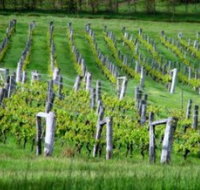 Sienna Estate Winery - Foster Accommodation