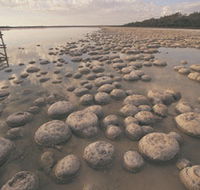 Yalgorup National Park - Foster Accommodation