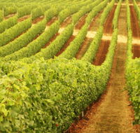 MadFish Wines Denmark - Foster Accommodation