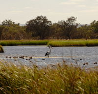 Anytime Adventures in Mandurah  the Peel Region - Foster Accommodation