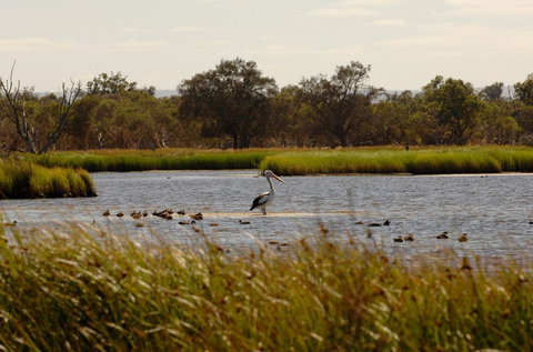 Anytime Adventures In Mandurah & The Peel Region - Foster Accommodation 0