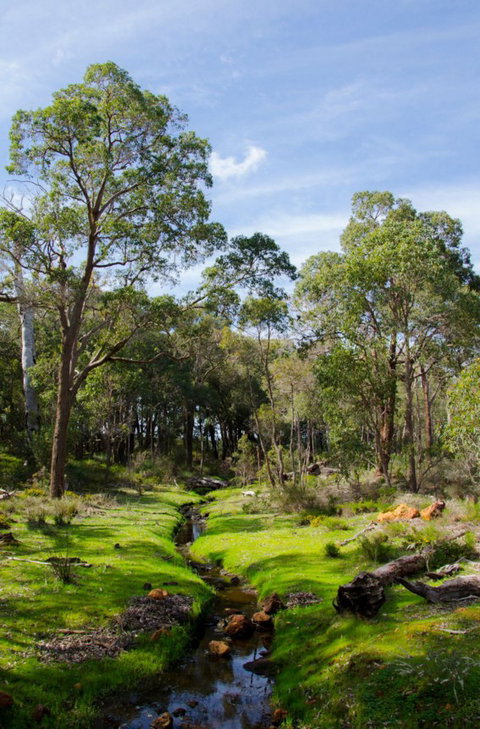 Anytime Adventures In Mandurah & The Peel Region - Foster Accommodation 11