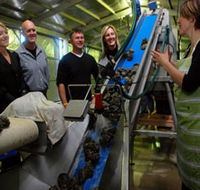 Eyre Peninsula's Seafood Trail - Foster Accommodation