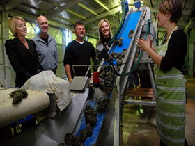 Eyre Peninsula's Seafood Trail - Foster Accommodation 0