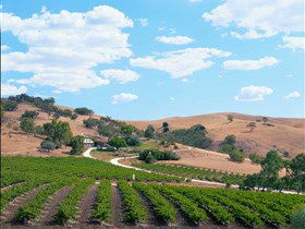 Bethany Wines - Foster Accommodation 0