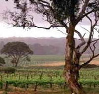 Yangarra Estate Vineyard - Foster Accommodation