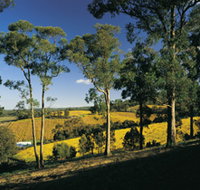 Lobethal Archives And Historical Museum - Foster Accommodation