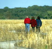 Onkaparinga River Recreation Park - Foster Accommodation