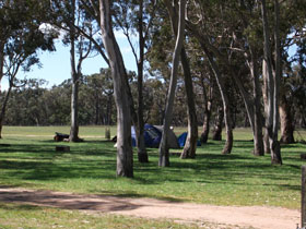 Bool Lagoon SA Foster Accommodation