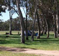 Black Cockatoo Bush Camp - Foster Accommodation