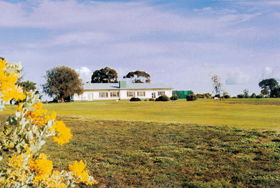  Foster Accommodation