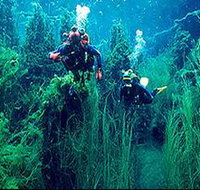 Ewens Ponds Conservation Park - Foster Accommodation