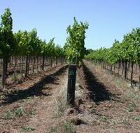 Temple Bruer Winery - Foster Accommodation