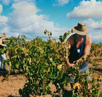 Torbreck Vintners - Foster Accommodation