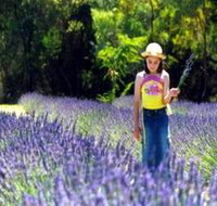 Brayfield Park Lavender Farm - Foster Accommodation