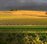 Kellermeister Wines - Foster Accommodation