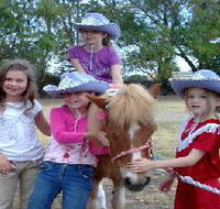 Amberainbow Pony Rides - Foster Accommodation